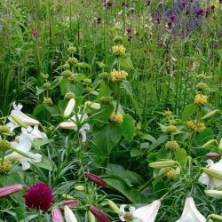 19025124 1966574583572679 7424132499285082143 o